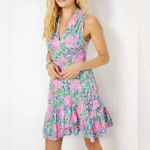 Lilly Pulitzer Annalise Frenchie Blue Turtley In Love Fit Flare Dress Size XL